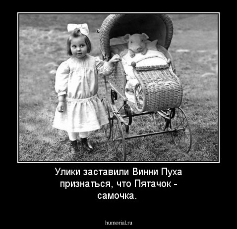 Улики заставили Винни Пуха признаться,  что Пятачок - самочка. 