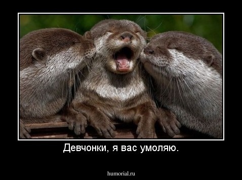 Девчонки, я вас умоляю.