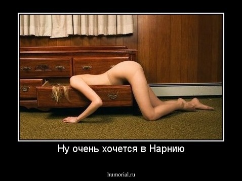 Ну очень хочется в Нарнию