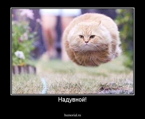 Надувной!