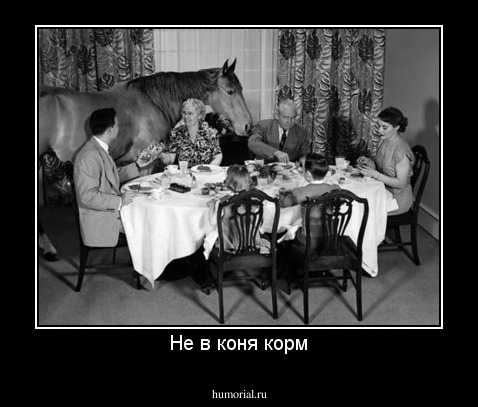 Не в коня корм