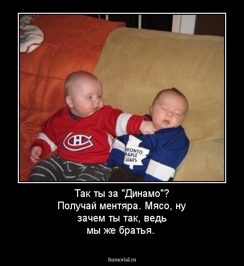 Так ты за "Динамо"? Получай ментяра. Мясо, ну зачем ты так, ведь мы же братья.