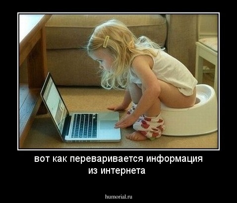 вот как переваривается информация из интернета
