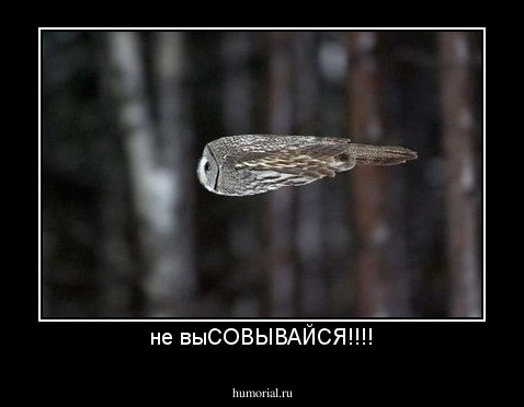 не выСОВЫВАЙСЯ!!!!