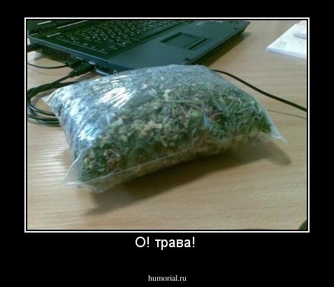 О! трава! 