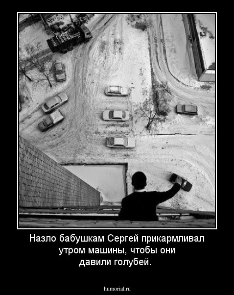 Назло бабушкам Сергей прикармливал утром машины, чтобы они давили голубей. 