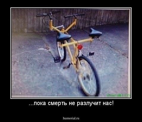 ...пока смерть не разлучит нас!