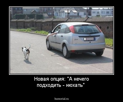  Новая опция: "А нечего подходить - нюхать"
