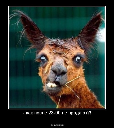 - как после 23-00 не продают?!