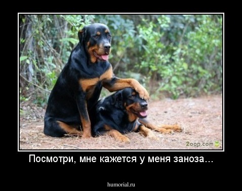 Посмотри, мне кажется у меня заноза...