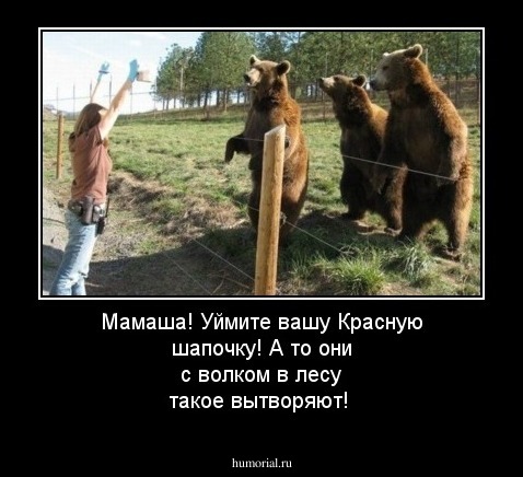 Мамаша! Уймите вашу Красную шапочку! А то они с волком в лесу такое вытворяют!