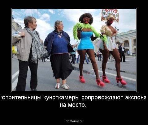 Смотрительницы кунсткамеры сопровождают экспонаты на место.