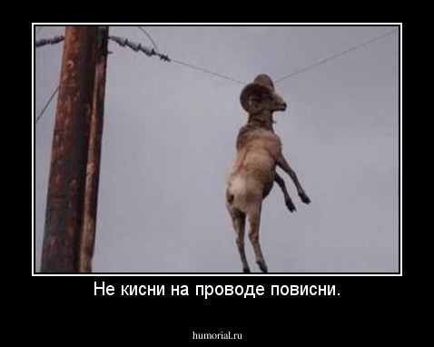 Не кисни на проводе повисни.