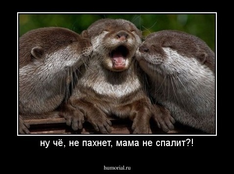 ну чё, не пахнет, мама не спалит?!