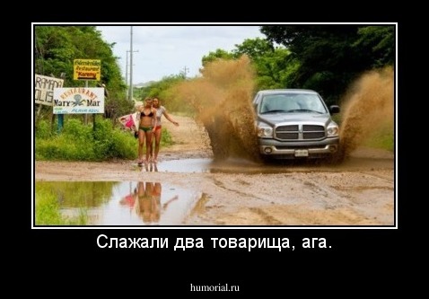Слажали два товарища, ага.