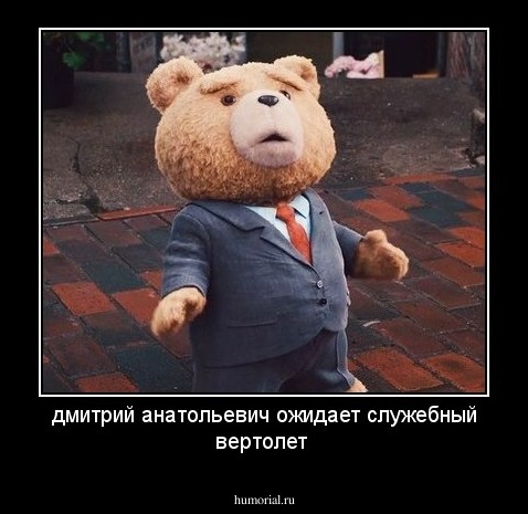 дмитрий анатольевич ожидает служебный вертолет