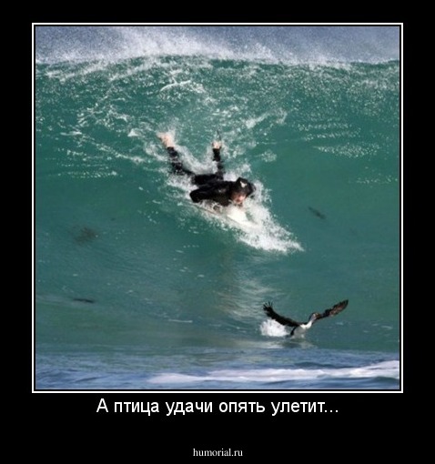 А птица удачи опять улетит...