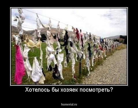 Хотелось бы хозяек посмотреть?