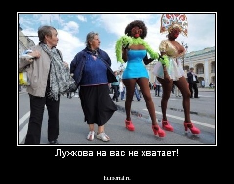 Лужкова на вас не хватает!