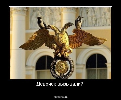 Девочек вызывали?!
