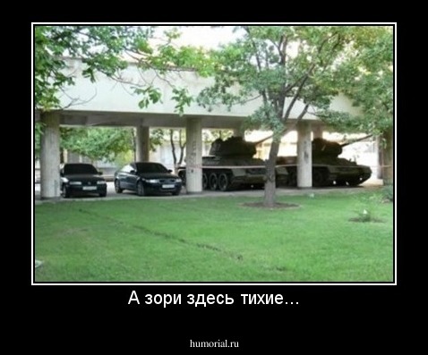 А зори здесь тихие...