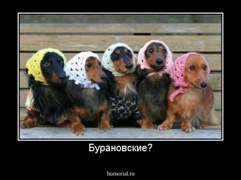 Бурановские?