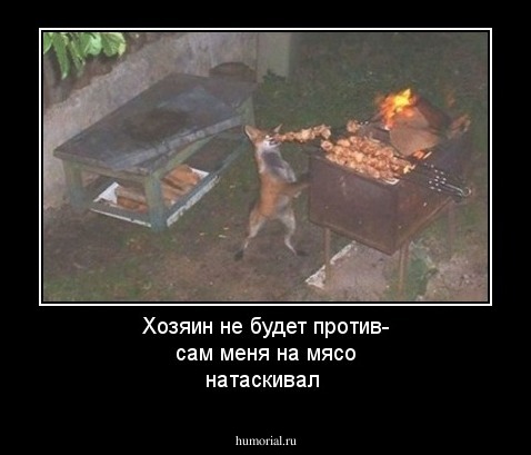 Хозяин не будет против- сам меня на мясо натаскивал