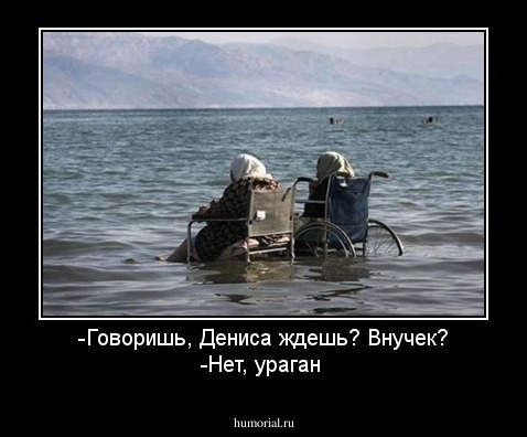-Говоришь, Дениса ждешь? Внучек?
-Нет, ураган