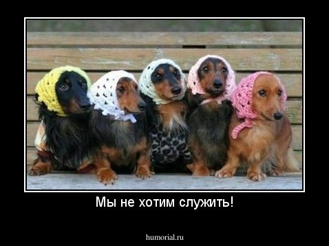 Мы не хотим служить!