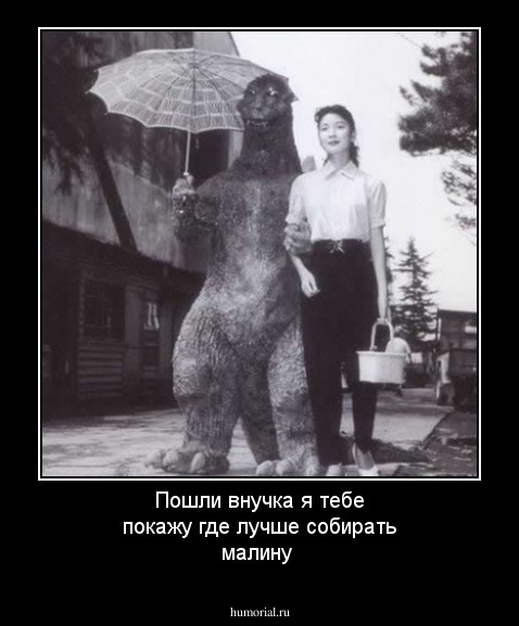 Пошли внучка я тебе покажу где лучше собирать малину