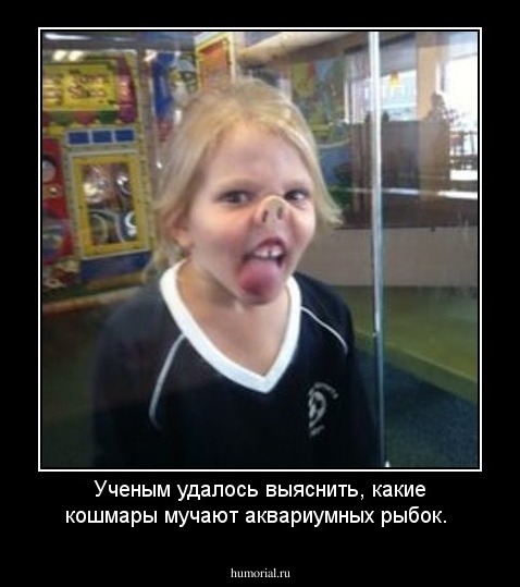 Ученым удалось выяснить, какие кошмары мучают аквариумных рыбок. 