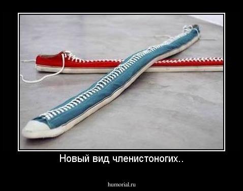 Новый вид членистоногих..