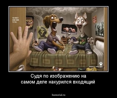 Судя по изображению на самом деле накурился входящий