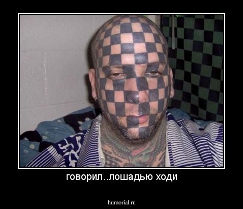 говорил..лошадью ходи