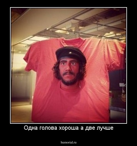 Одна голова хороша а две лучше