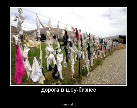 дорога в шоу-бизнес