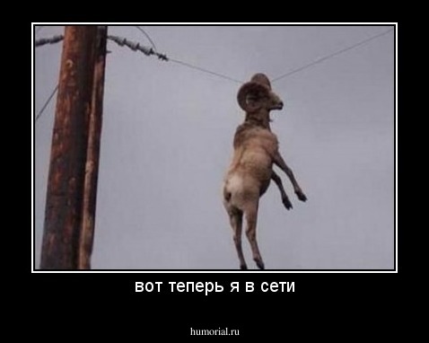 вот теперь я в сети