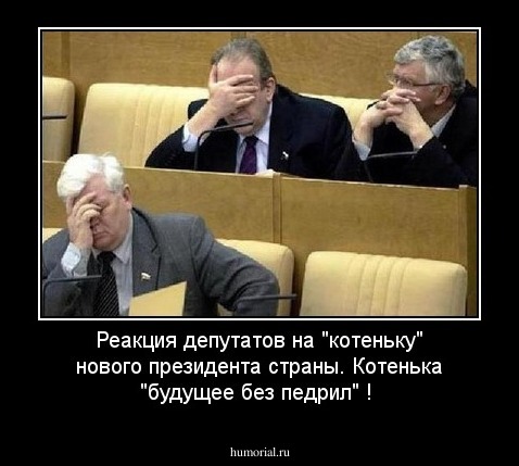 Реакция депутатов на "котеньку" нового президента страны. Котенька "будущее без педрил" !
