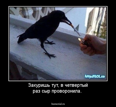 Закуришь тут, в четвертый раз сыр проворонила.