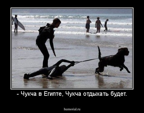 - Чукча в Египте, Чукча отдыхать будет.