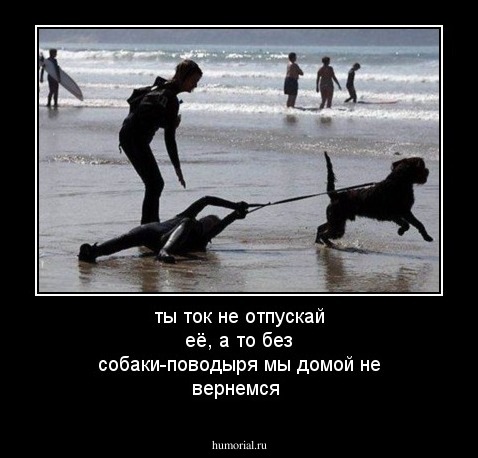 ты ток не отпускай её, а то без собаки-поводыря мы домой не вернемся