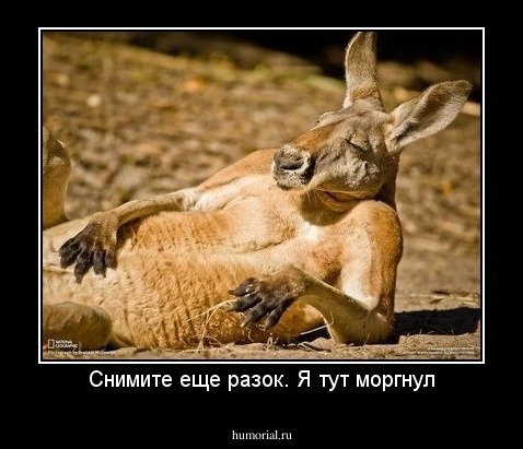 Снимите еще разок. Я тут моргнул