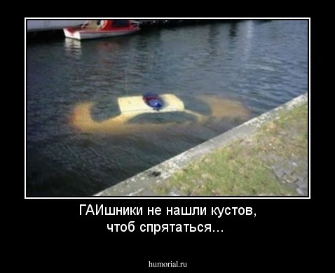 ГАИшники не нашли кустов, чтоб спрятаться...