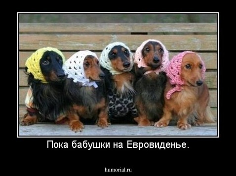 Пока бабушки на Евровиденье.