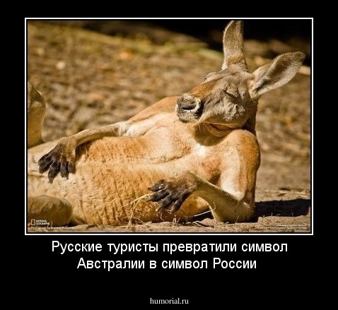 Русские туристы превратили символ Австралии в символ России