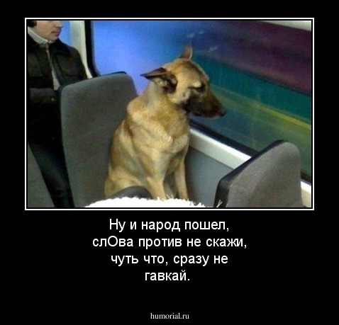 Ну и народ пошел, слОва против не скажи, чуть что, сразу не гавкай.