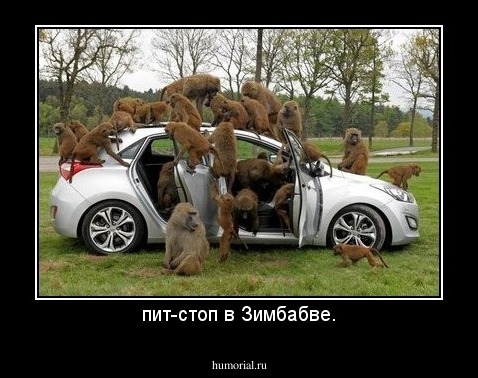 пит-стоп в Зимбабве.