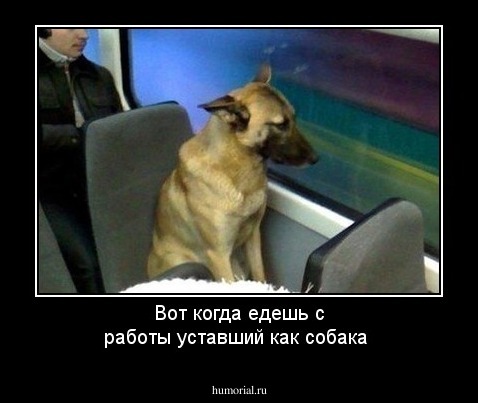 Вот когда едешь с работы уставший как собака