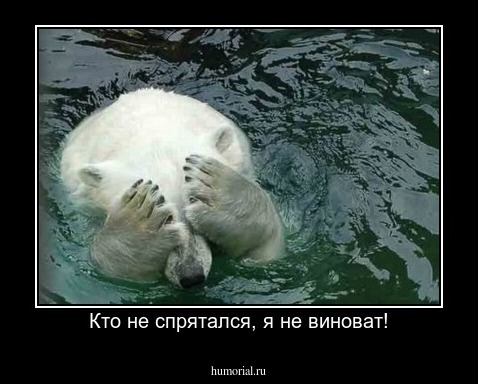 Кто не спрятался, я не виноват!