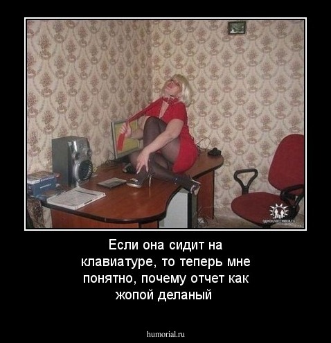 Если она сидит на клавиатуре, то теперь мне понятно, почему отчет как жопой деланый
